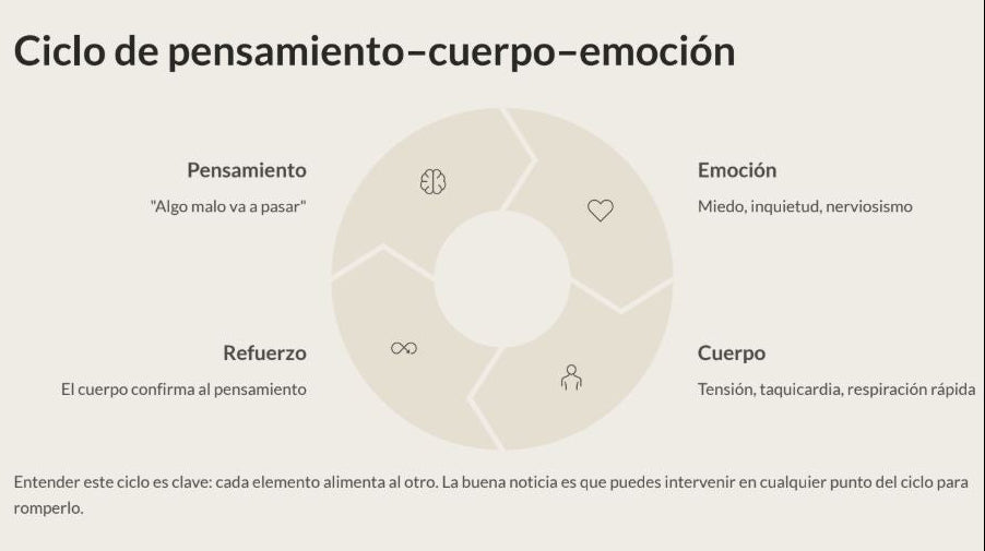 El Método Para Regular Tu Ansiedad - VentaDigitalOnline